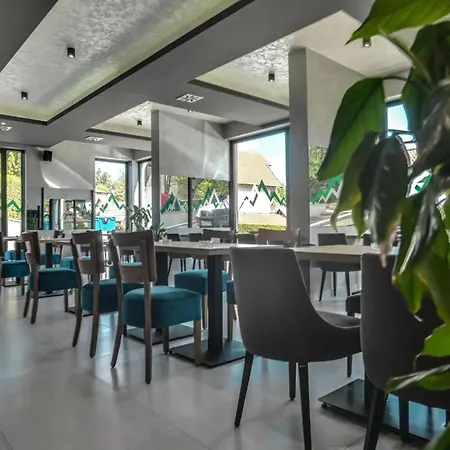 Zvezda - Prestige Forest * Zlatibor